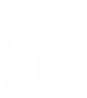CASE2