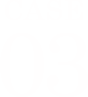 CASE3